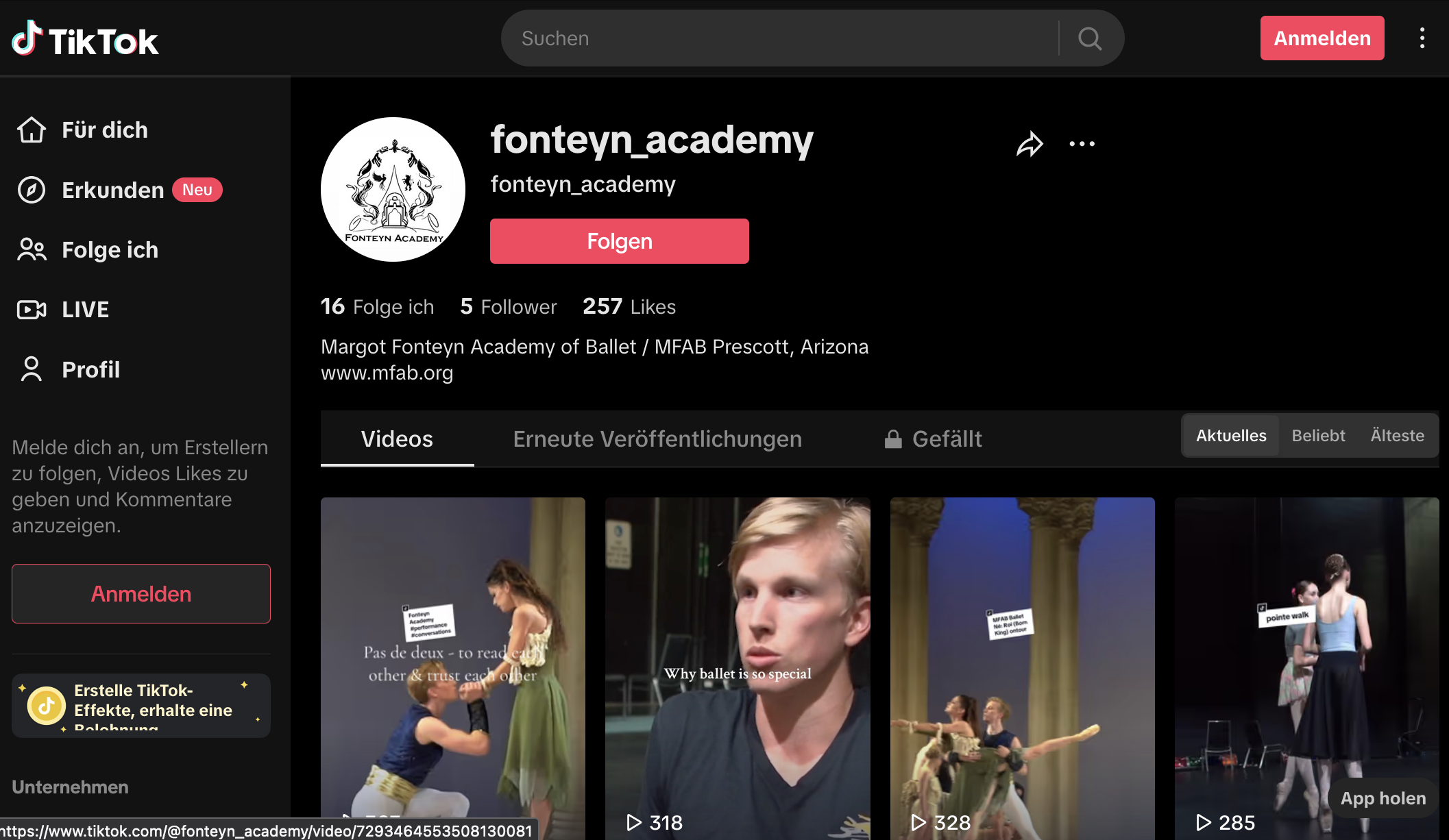 TikTok MFAB THumbnail Website 2